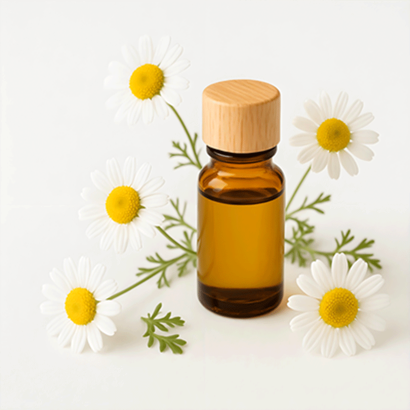 Roman Chamomile Essential Oil